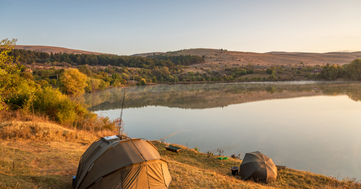 Best Fishing Lakes in Essex UPDATED 2024 Carp Fishing Tips